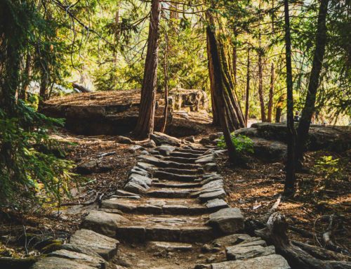 Trail-Blazing, Holistic Discipleship