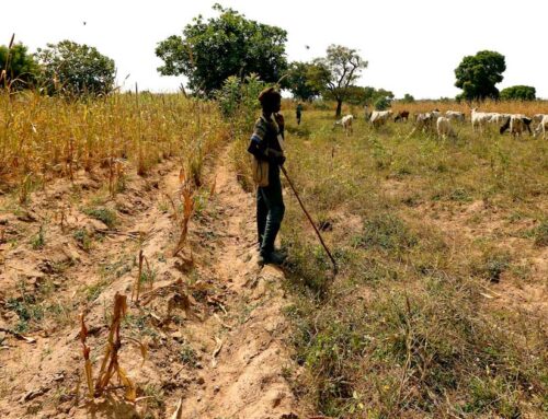 Nigeria: A Dangerous Place to Live as a Christian