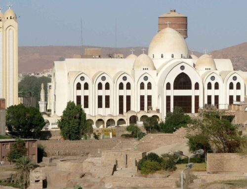 For Such a Time As This: A Coptic Pope for the Modern Age