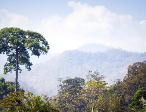 The Power of Presence